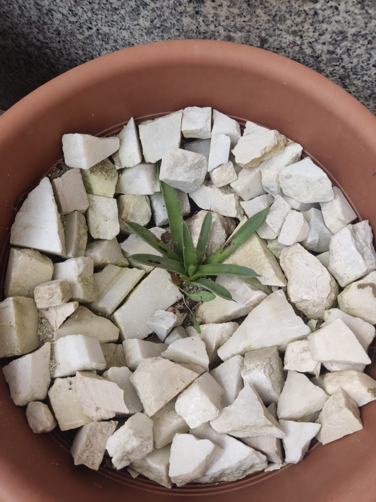 WhatsApp Image 2026-04-03 at 16.07.16 (1).jpeg