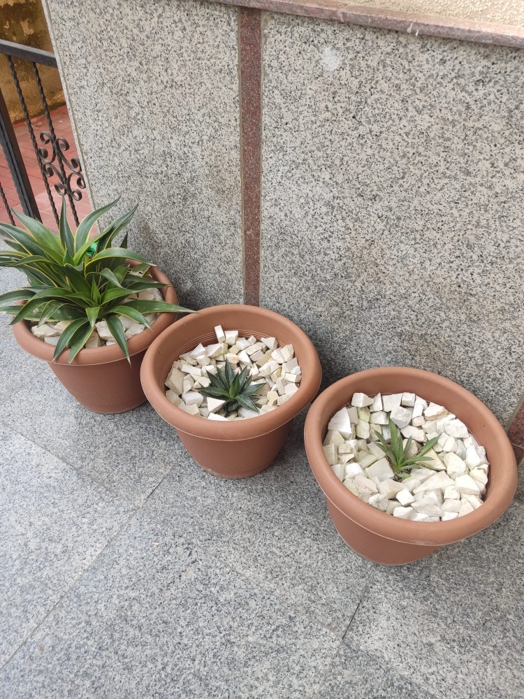 WhatsApp Image 2026-04-03 at 16.07.15 (1).jpeg