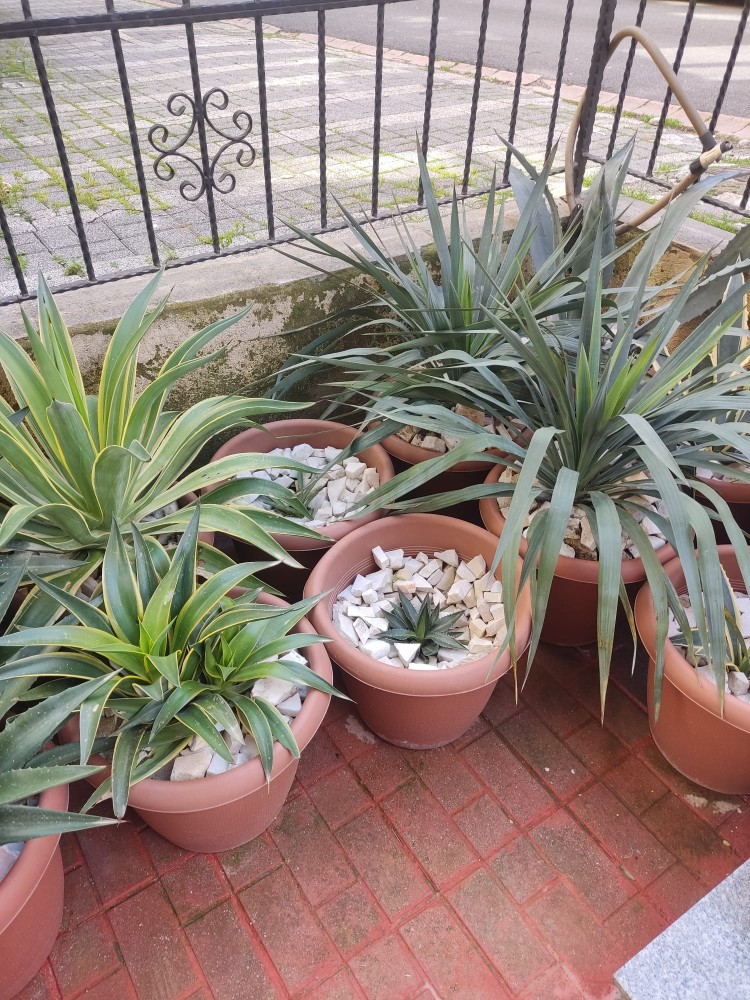 WhatsApp Image 2026-04-03 at 16.07.09.jpeg