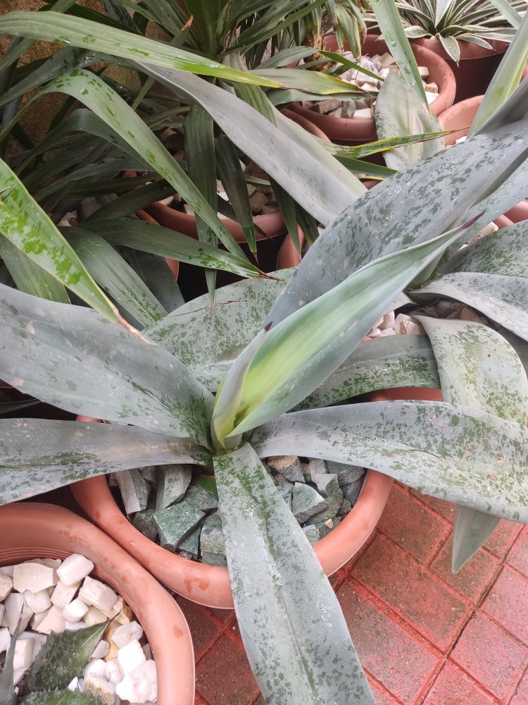 WhatsApp Image 2026-04-03 at 16.07.19 (1).jpeg