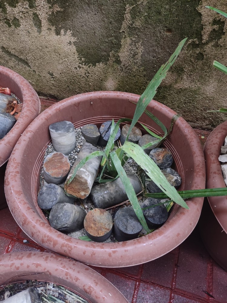 WhatsApp Image 2026-04-03 at 16.07.21 (1).jpeg