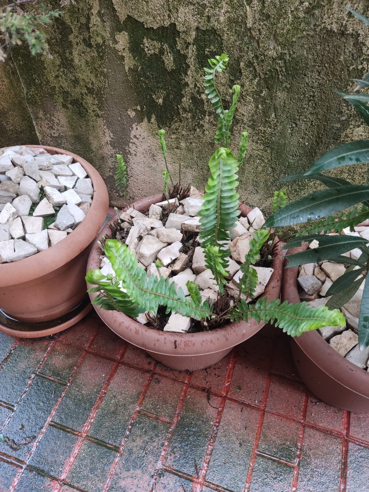 WhatsApp Image 2026-04-03 at 16.07.21.jpeg