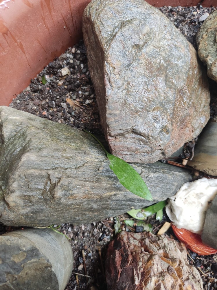 WhatsApp Image 2026-04-03 at 16.07.18 (1).jpeg