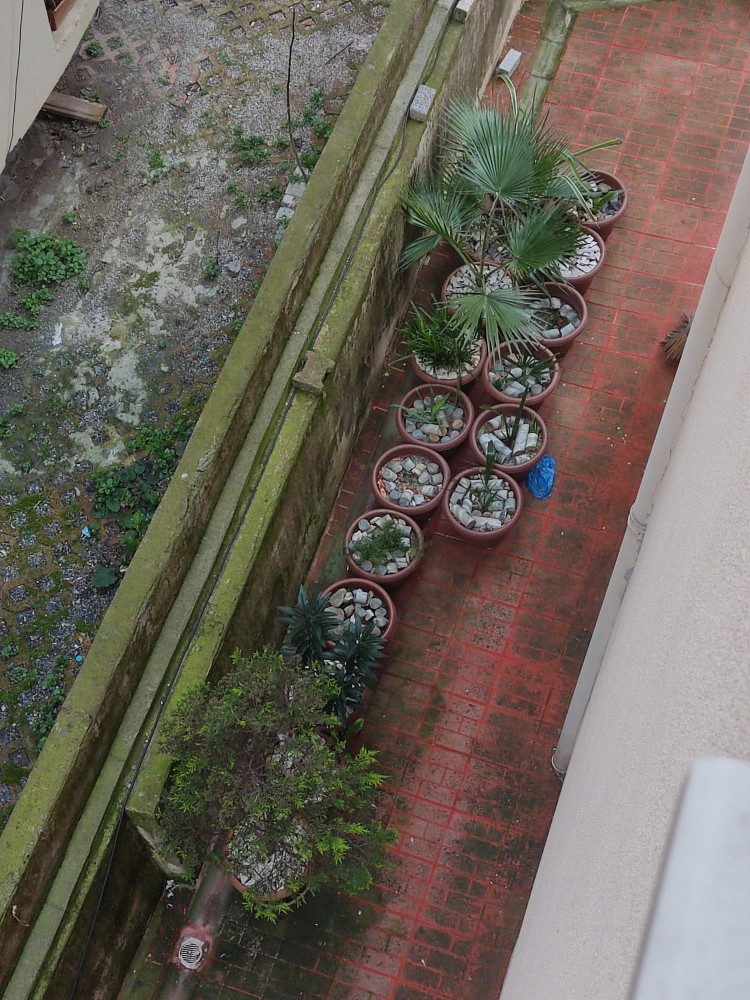 WhatsApp Image 2026-04-03 at 16.07.24.jpeg