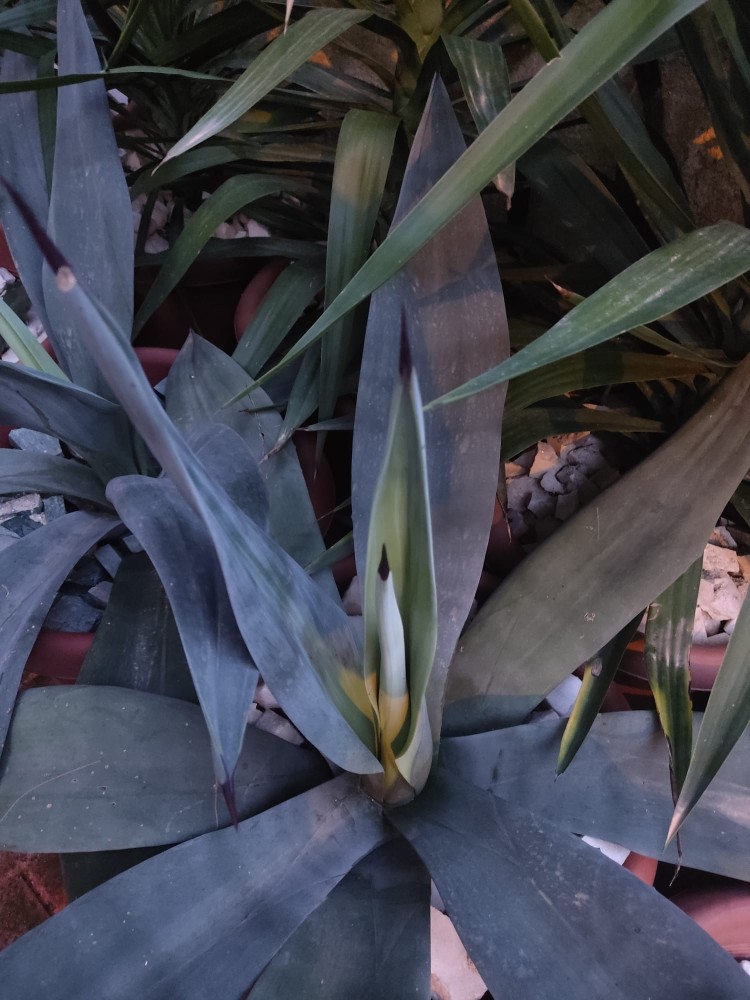 WhatsApp Image 2026-04-05 at 19.44.23.jpeg