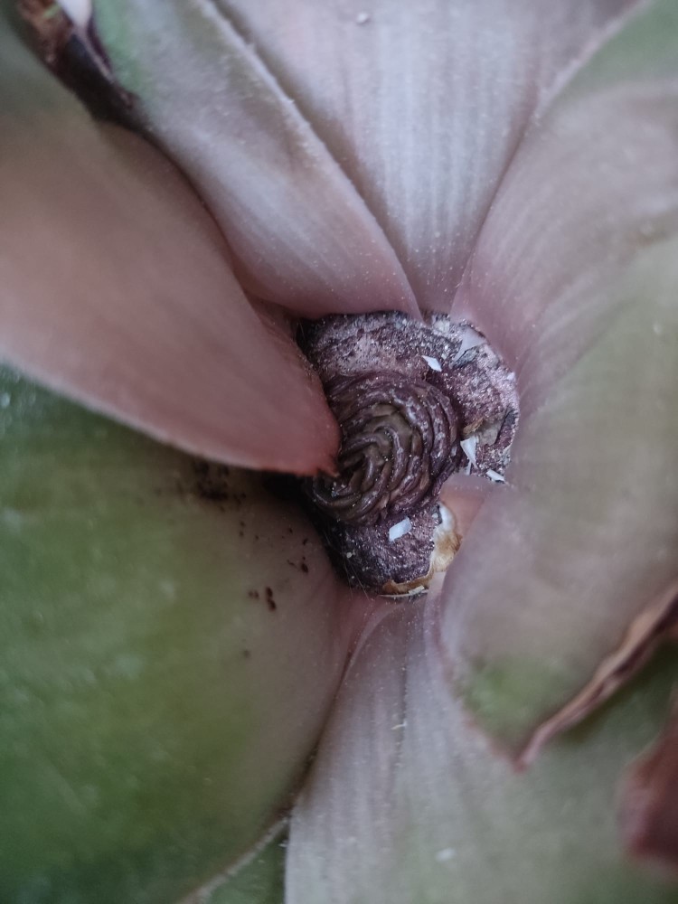 WhatsApp Image 2026-04-05 at 19.44.50 (2).jpeg