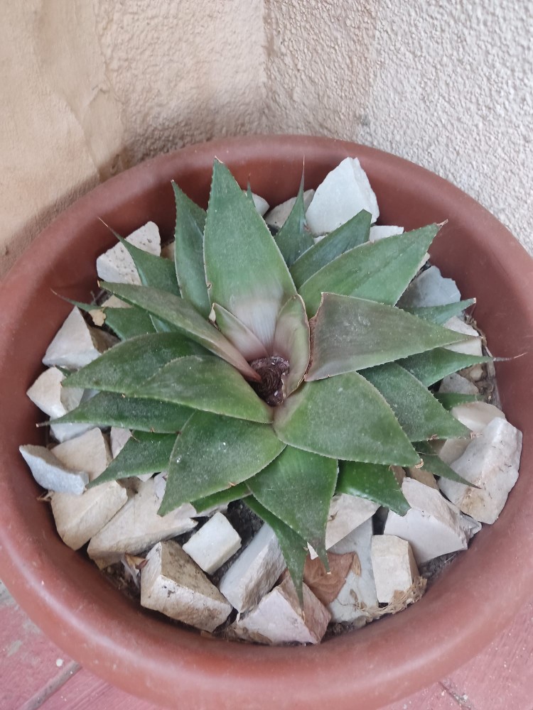 WhatsApp Image 2026-04-05 at 19.44.50.jpeg