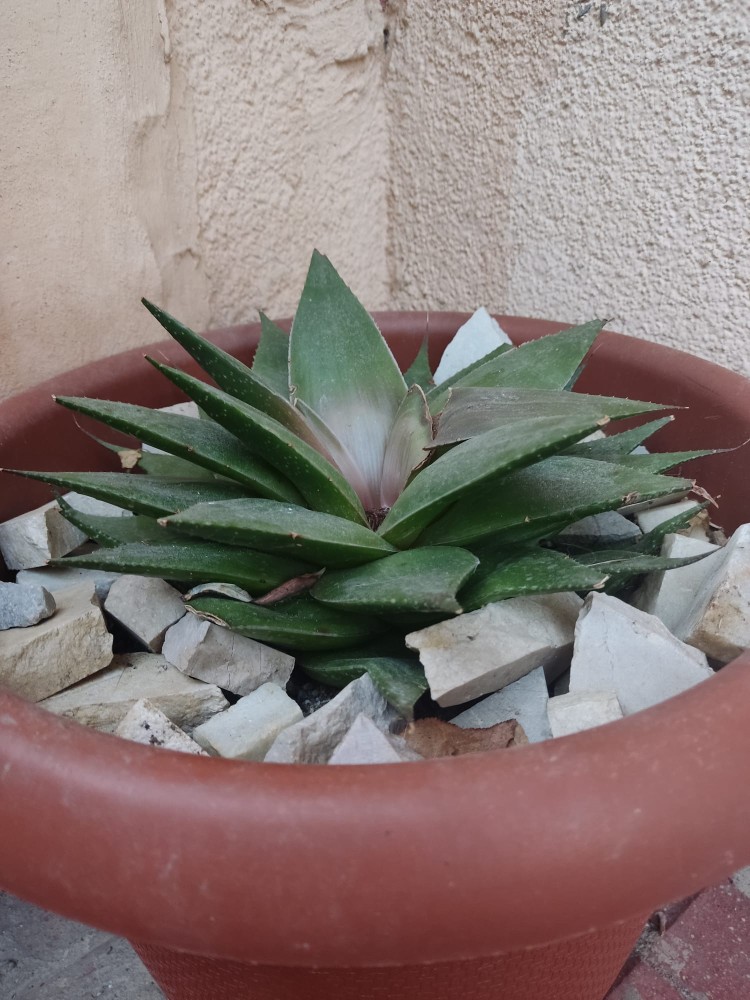 WhatsApp Image 2026-04-05 at 19.44.50 (1).jpeg