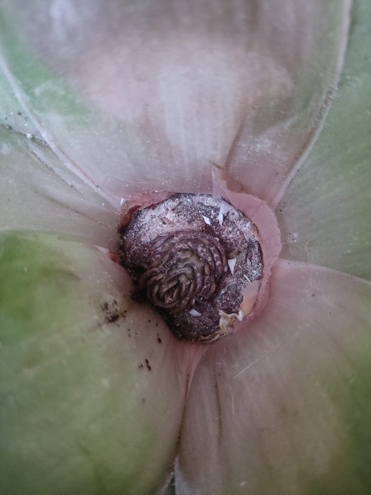 WhatsApp Image 2026-04-06 at 19.40.26 (2).jpeg