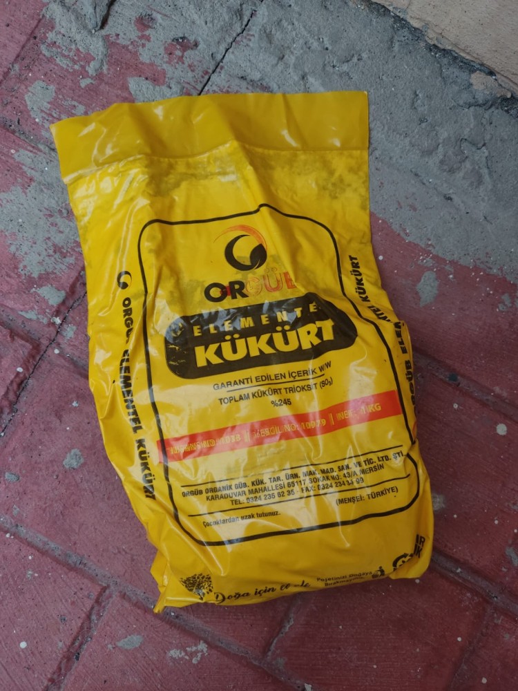 WhatsApp Image 2026-04-06 at 19.40.26.jpeg