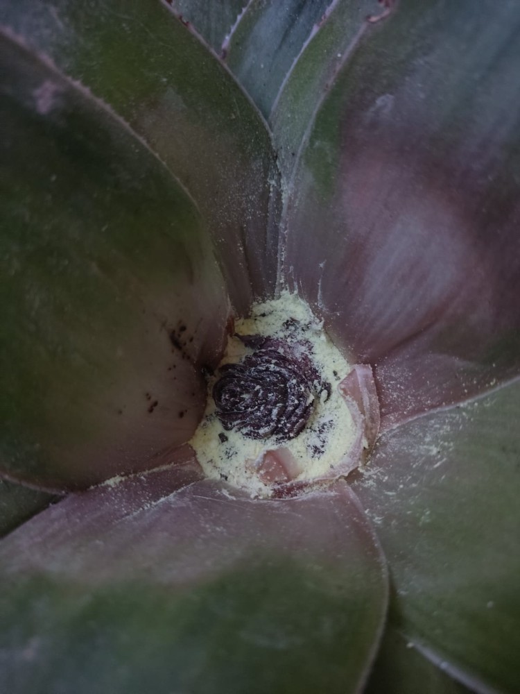 WhatsApp Image 2026-04-06 at 19.40.25.jpeg