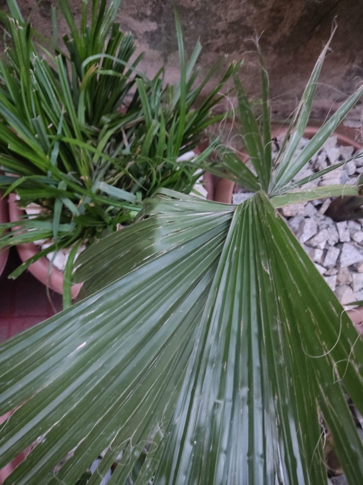 WhatsApp Image 2026-04-06 at 19.40.27.jpeg