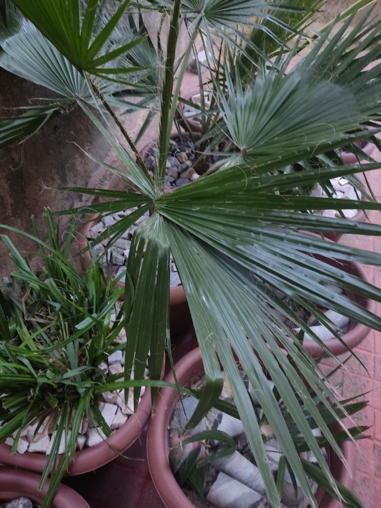 WhatsApp Image 2026-04-06 at 19.40.27 (1).jpeg