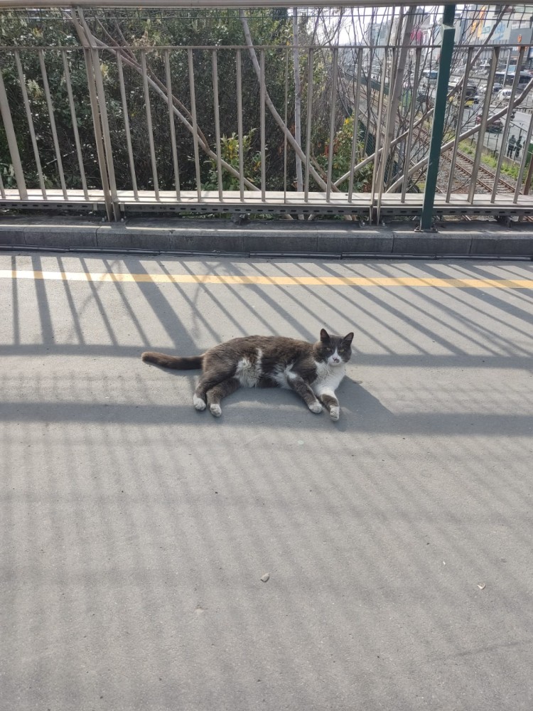 WhatsApp Image 2026-04-08 at 22.03.39.jpeg