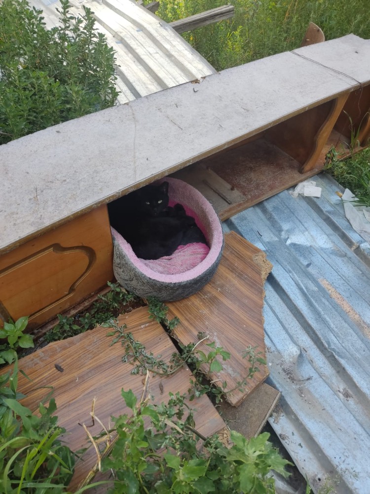 WhatsApp Image 2026-04-08 at 22.03.40.jpeg