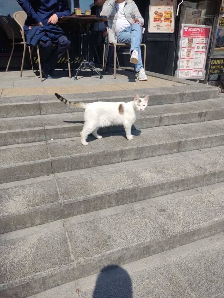 WhatsApp Image 2026-04-08 at 22.03.41.jpeg