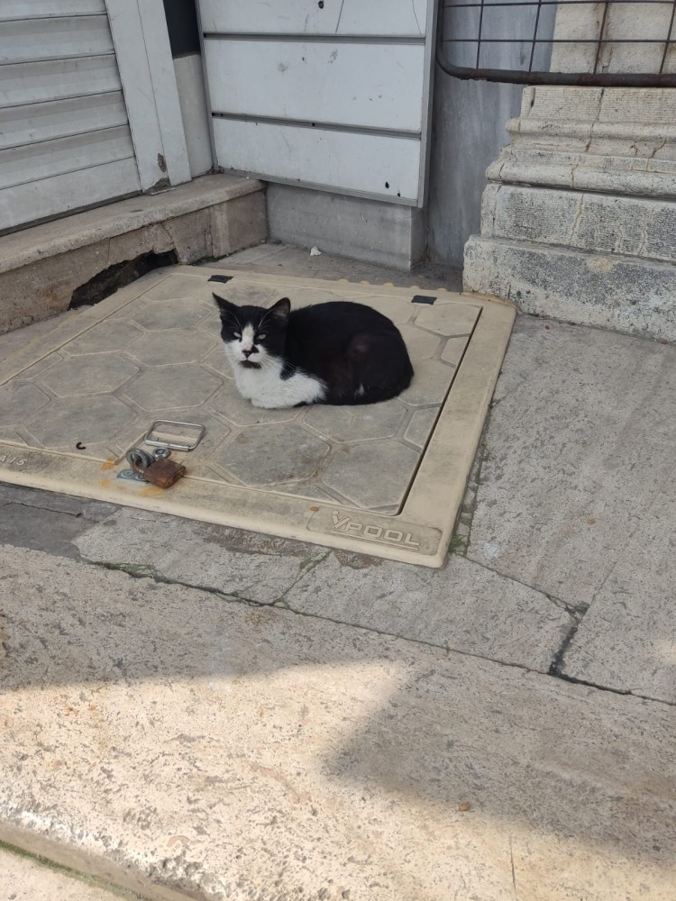 WhatsApp Image 2026-04-08 at 22.03.43.jpeg