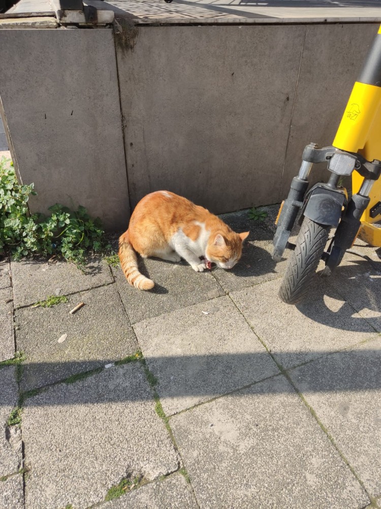 WhatsApp Image 2026-04-08 at 22.03.45 (2).jpeg