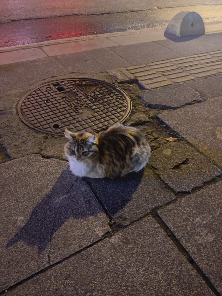 WhatsApp Image 2026-04-08 at 22.03.33 (2).jpeg