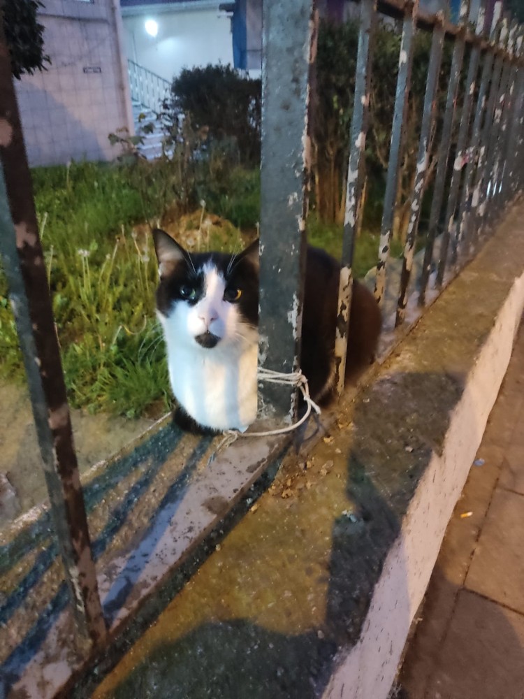 WhatsApp Image 2026-04-08 at 22.03.34 (1).jpeg