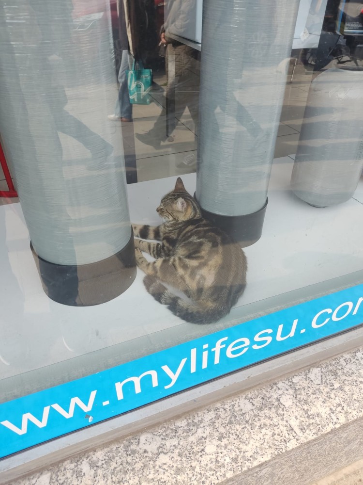 WhatsApp Image 2026-04-08 at 22.03.39 (2).jpeg