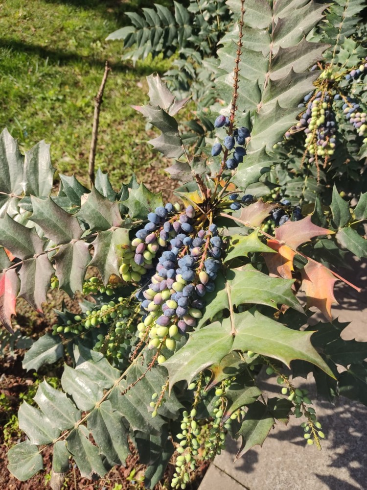 WhatsApp Image 2026-04-08 at 22.03.43 (1).jpeg