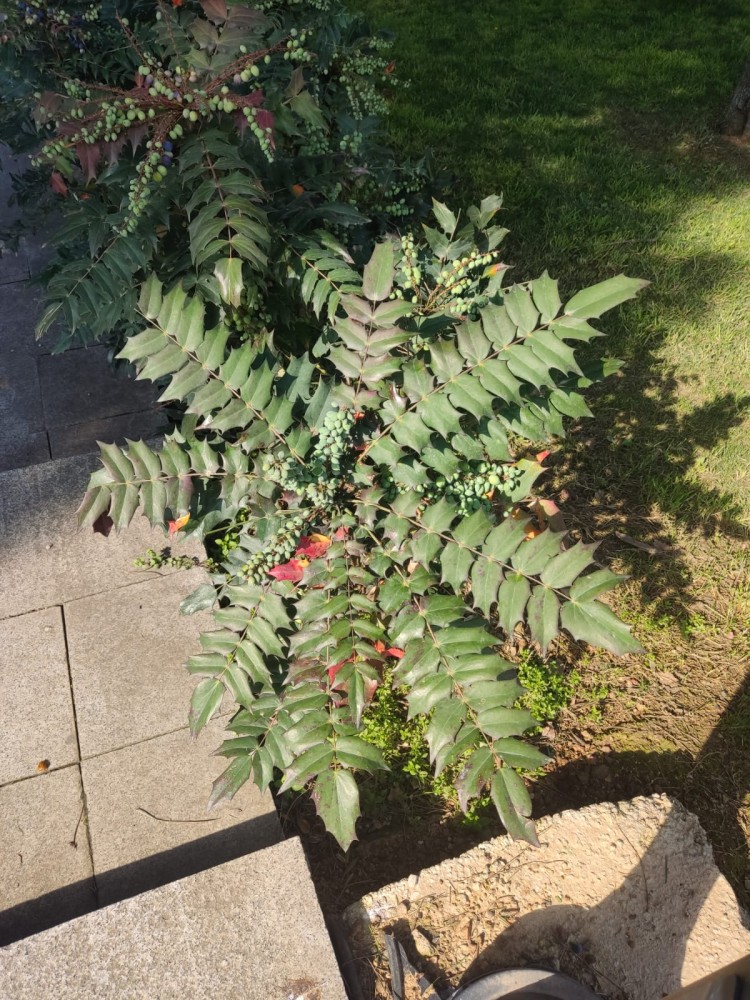 WhatsApp Image 2026-04-08 at 22.03.43 (2).jpeg