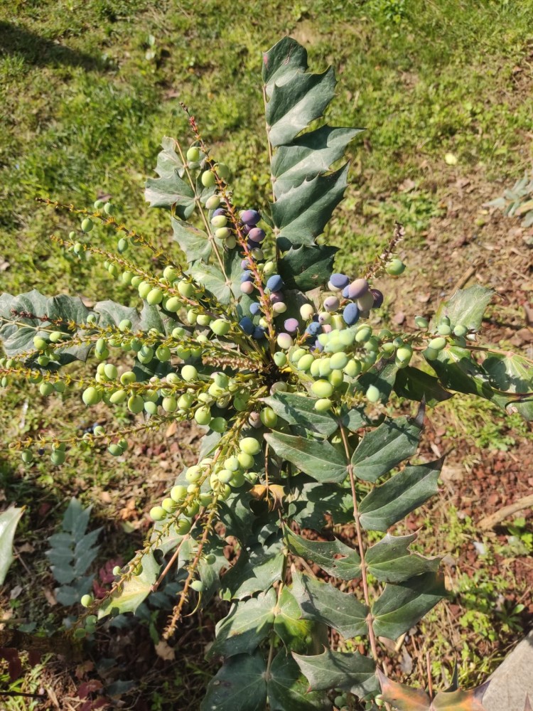 WhatsApp Image 2026-04-08 at 22.03.44.jpeg