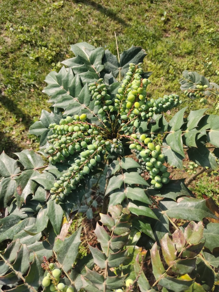 WhatsApp Image 2026-04-08 at 22.03.45 (1).jpeg