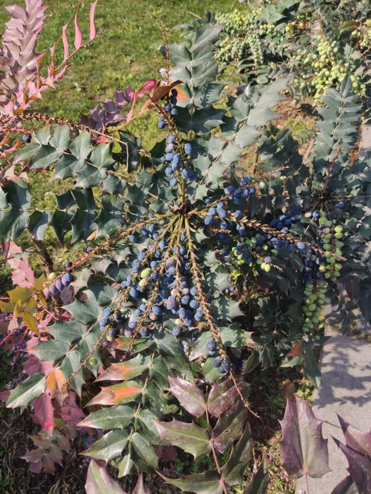 WhatsApp Image 2026-04-08 at 22.03.45.jpeg