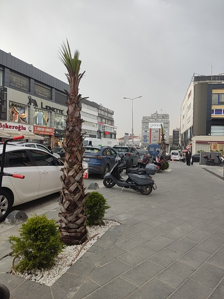 WhatsApp Image 2026-04-08 at 22.03.34 (2).jpeg