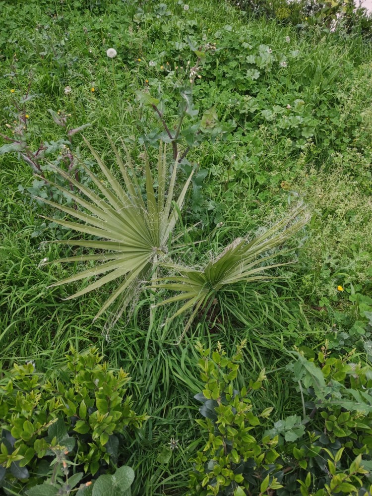 WhatsApp Image 2026-04-08 at 22.03.35.jpeg