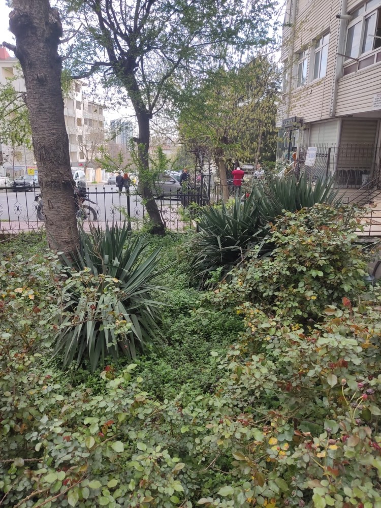 WhatsApp Image 2026-04-08 at 22.03.36.jpeg