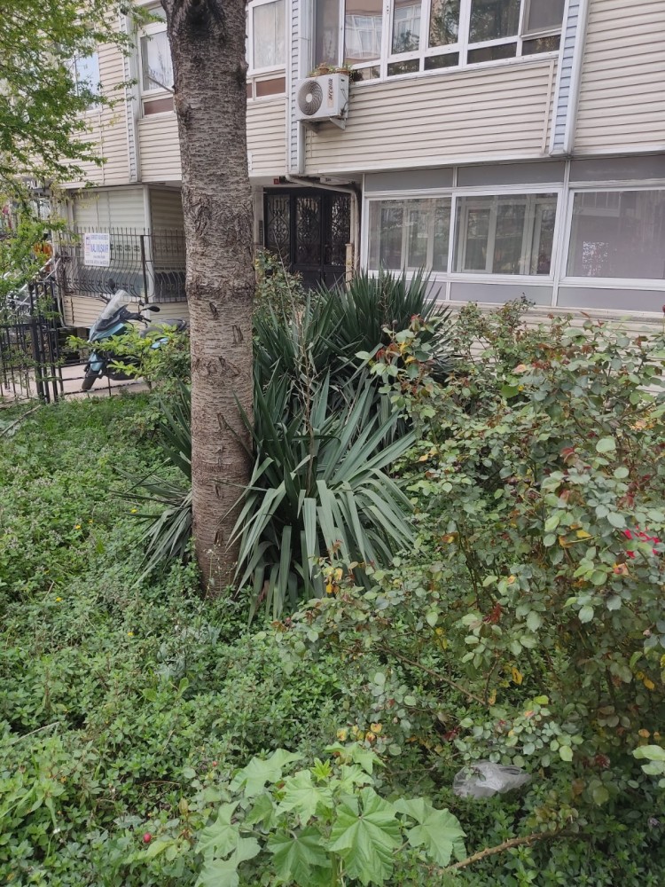 WhatsApp Image 2026-04-08 at 22.03.38.jpeg