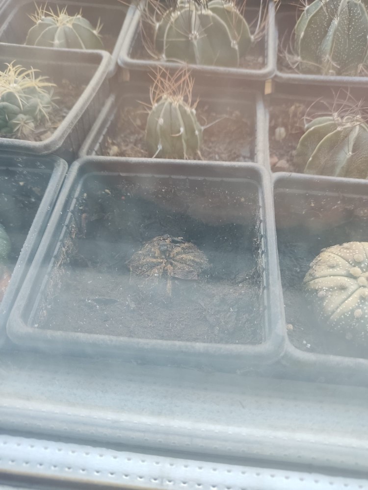 WhatsApp Image 2026-04-09 at 08.10.39 (1).jpeg