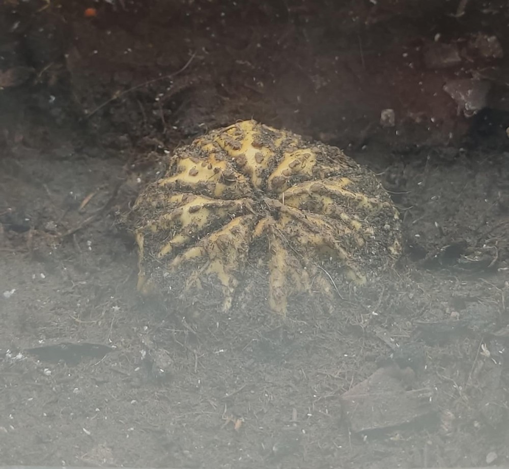 WhatsApp Image 2026-04-09 at 15.56.13.jpeg