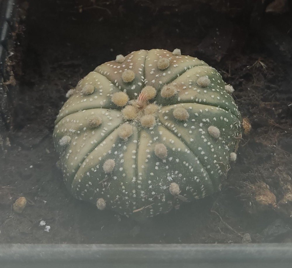 WhatsApp Image 2026-04-09 at 15.56.12 (2).jpeg