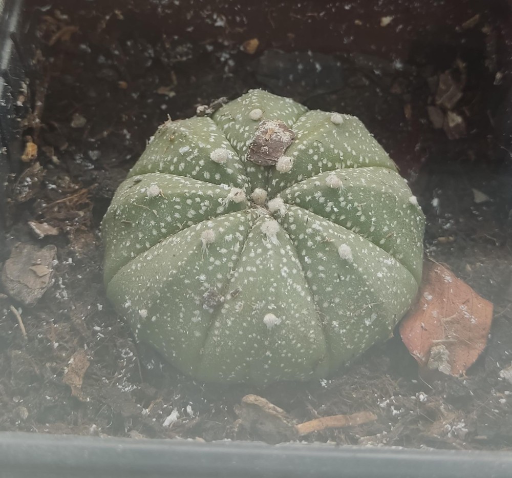 WhatsApp Image 2026-04-09 at 15.56.12 (1).jpeg