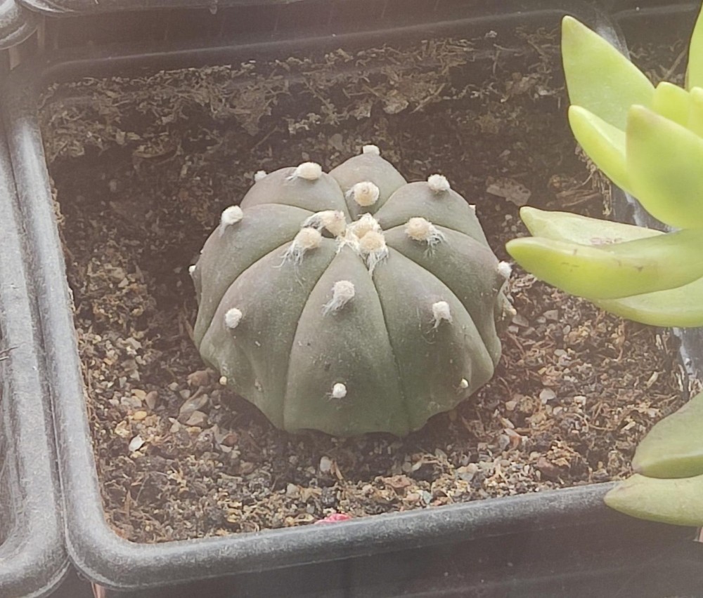 WhatsApp Image 2026-04-09 at 15.56.12.jpeg