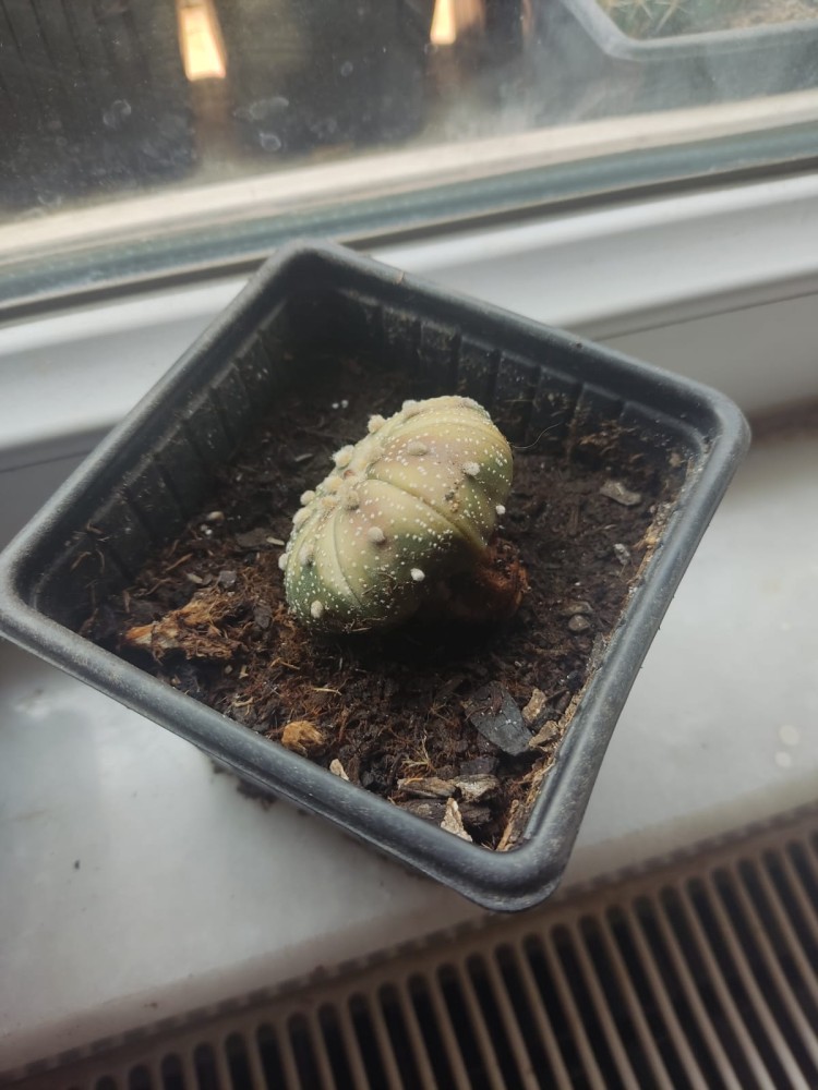 WhatsApp Image 2026-04-11 at 21.49.11 (1).jpeg