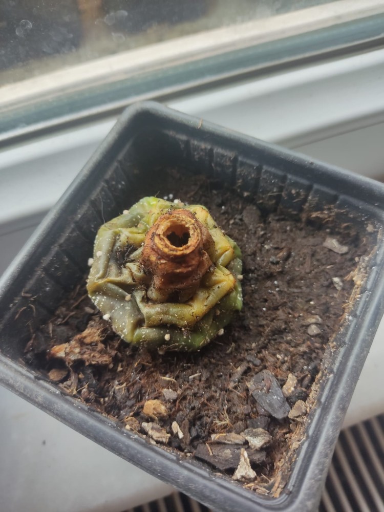 WhatsApp Image 2026-04-11 at 21.49.11.jpeg