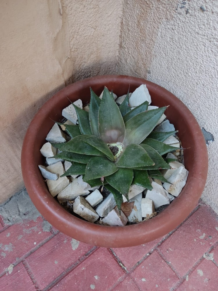 WhatsApp Image 2026-04-11 at 21.48.28 (2).jpeg