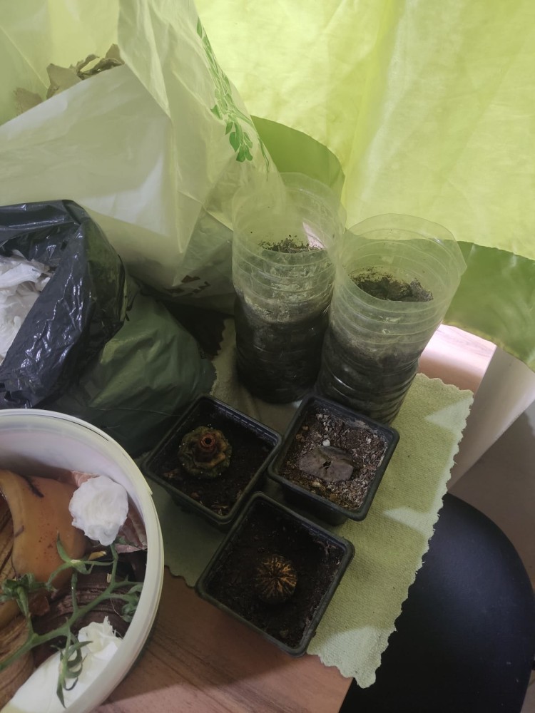 WhatsApp Image 2026-04-11 at 21.49.10.jpeg