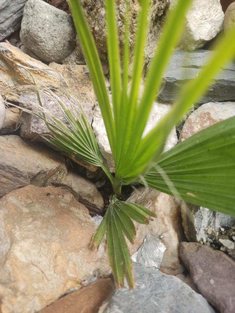 WhatsApp Image 2026-04-11 at 21.49.09 (2).jpeg