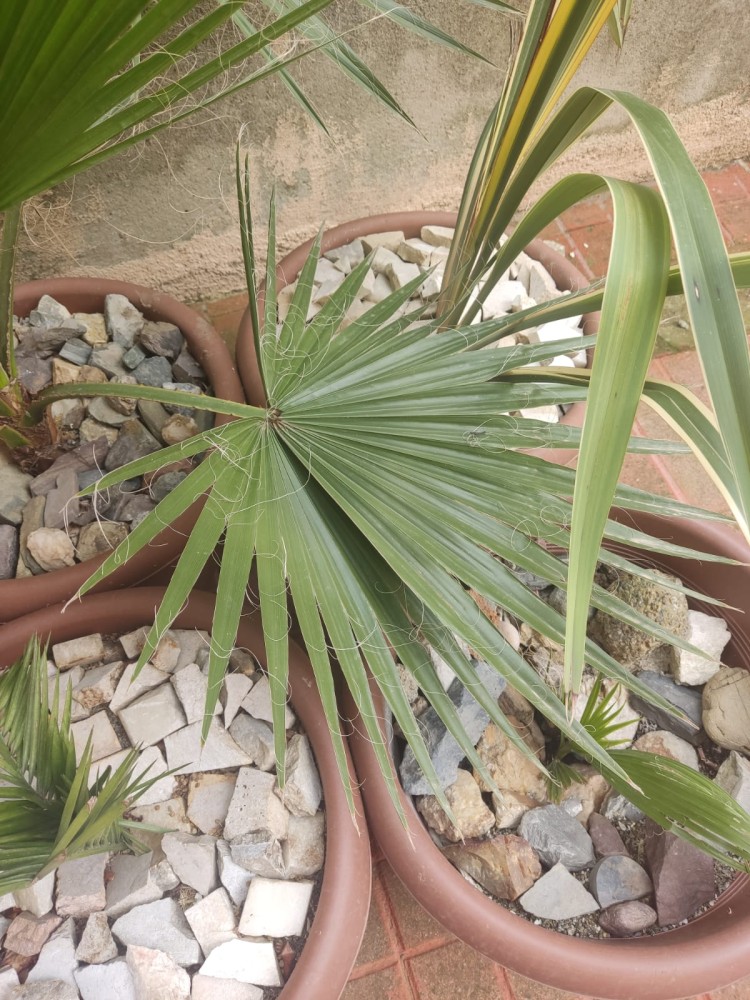 WhatsApp Image 2026-04-11 at 21.49.09 (1).jpeg