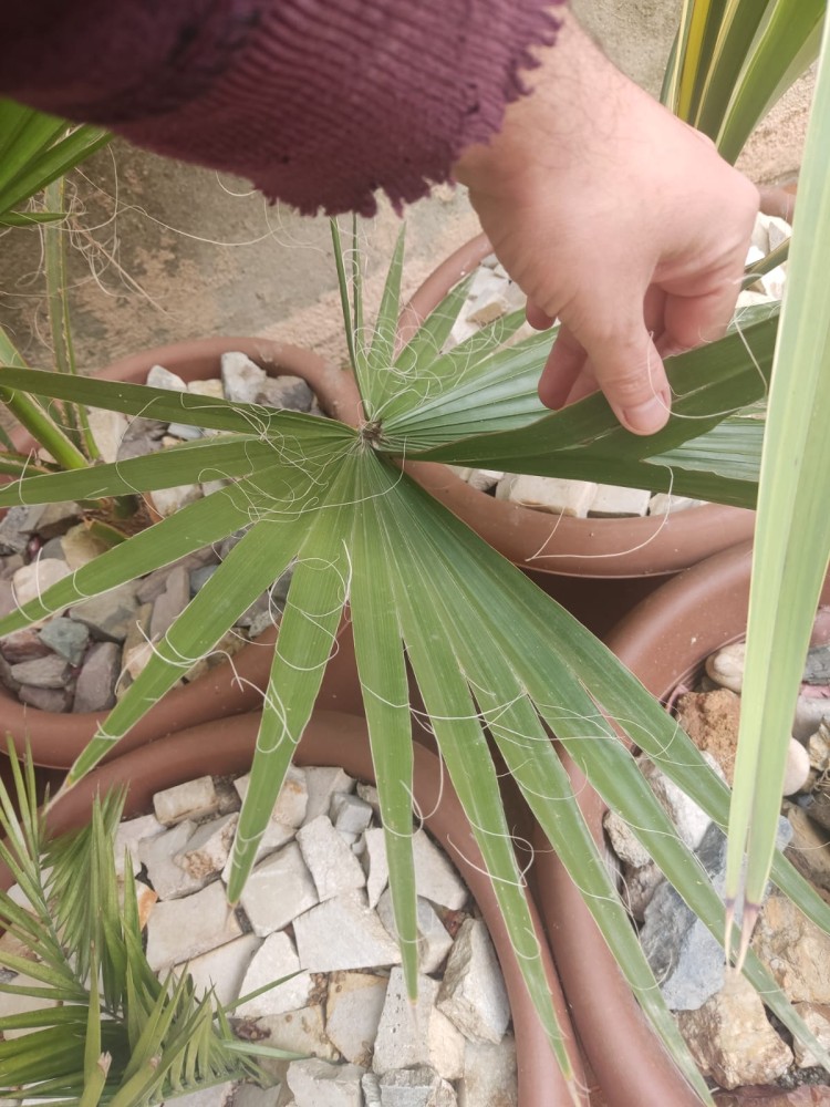 WhatsApp Image 2026-04-11 at 21.49.09.jpeg