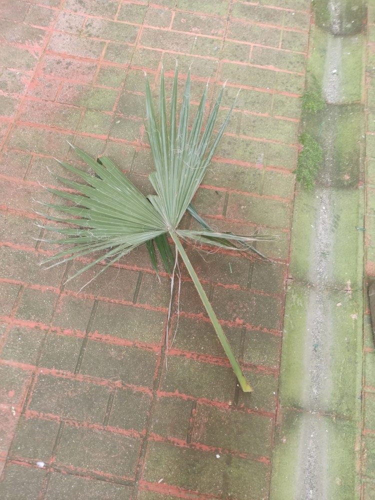 WhatsApp Image 2026-04-11 at 21.49.05.jpeg