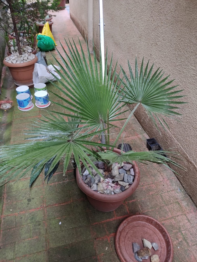 WhatsApp Image 2026-04-11 at 21.48.57.jpeg