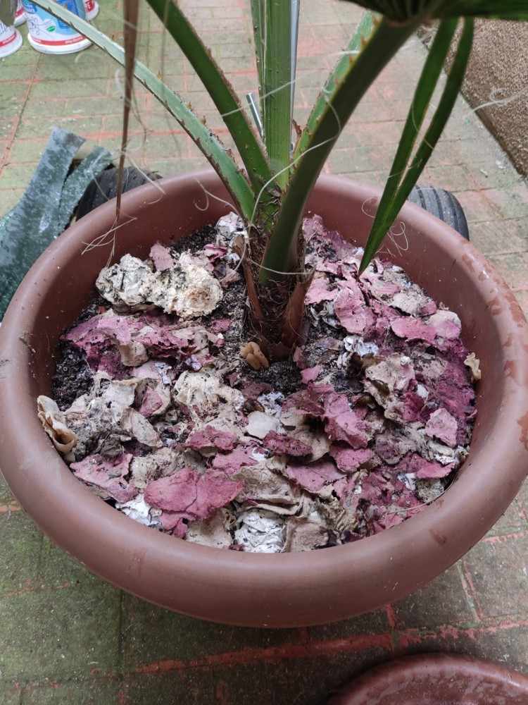 WhatsApp Image 2026-04-11 at 21.48.56 (2).jpeg