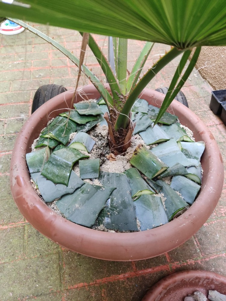 WhatsApp Image 2026-04-11 at 21.48.56 (1).jpeg